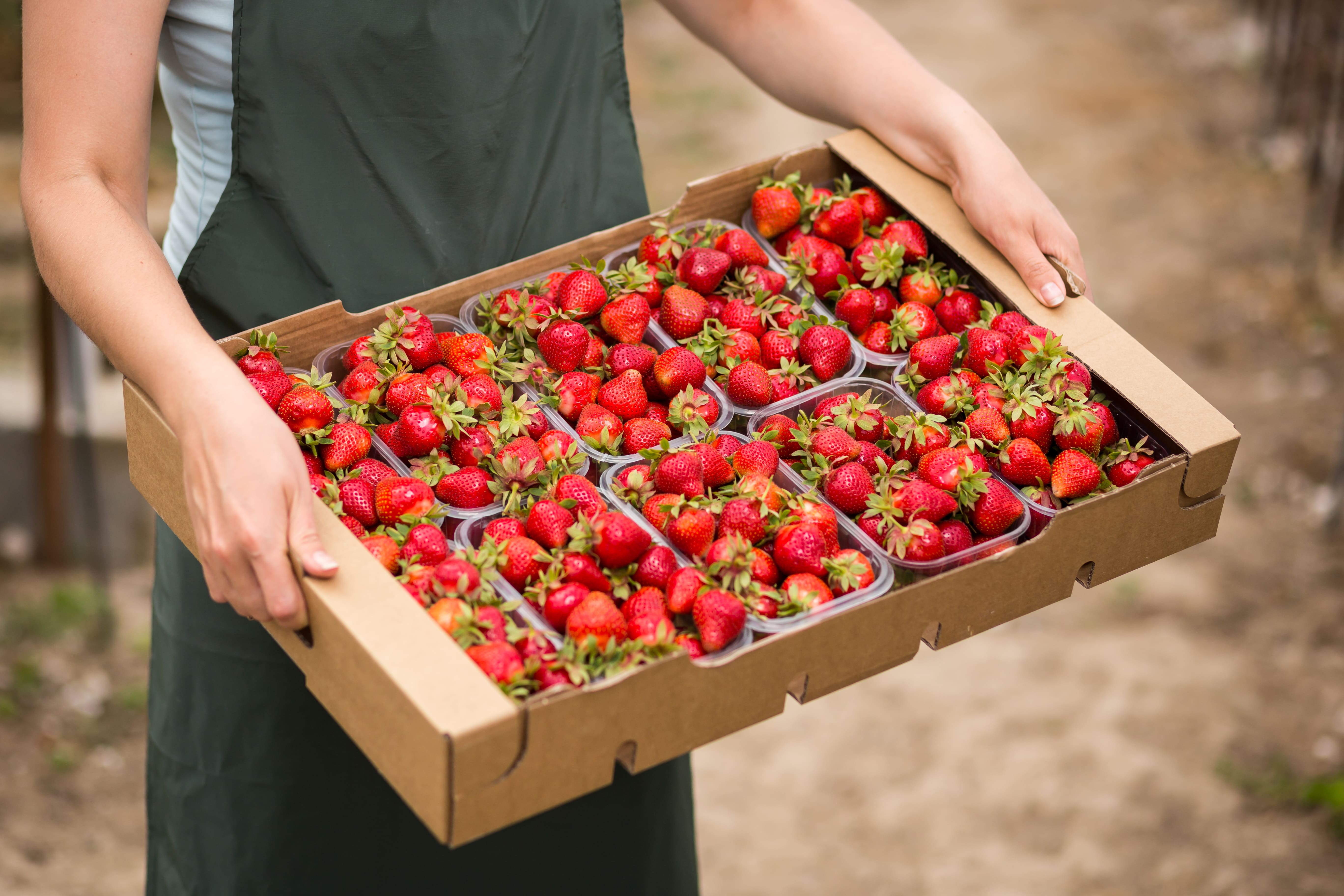 Frutas y hortalizas